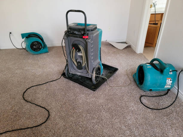 Best Flood restoration services  in Butte, AK