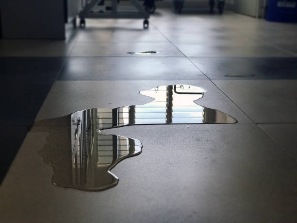 Best Water damage contractors near me  in Butte, AK