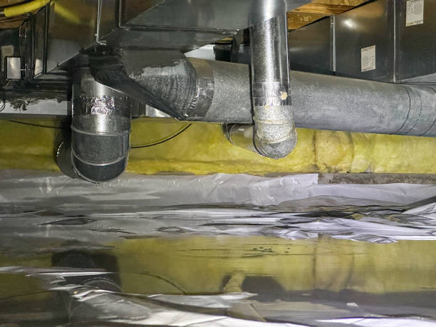 Best Flood damage cleanup  in Butte, AK